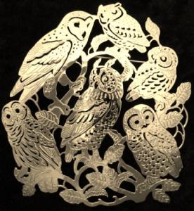 Wild Bryde Owls Of North America Pin