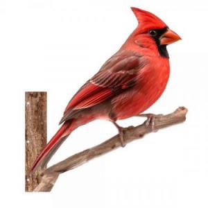 Peeking Cardinal Metal Wall Art