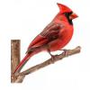 Peeking Cardinal Metal Wall Art