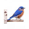 Peeking Bluebird Laser Cut Wall Art and Door Decor 1