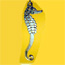 Wild Bryde Curvy Sea Horse Earrings