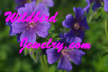 wildbirdjewelrylogosmall.JPG